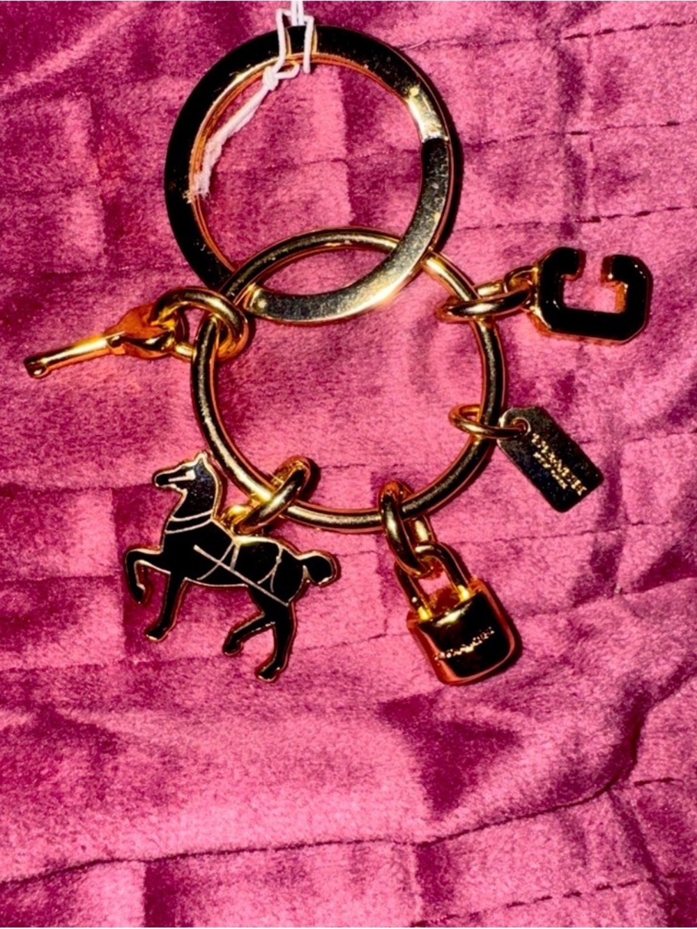 Coach Gold Horse & Carriage
Padlock Key Chain Fob, Bag Charm Key Ring NWT F65167